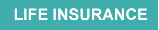 Life Insurance